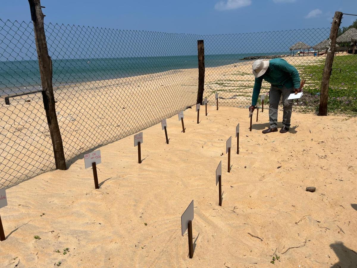 Dune Towers Kalpitiya Esterno foto