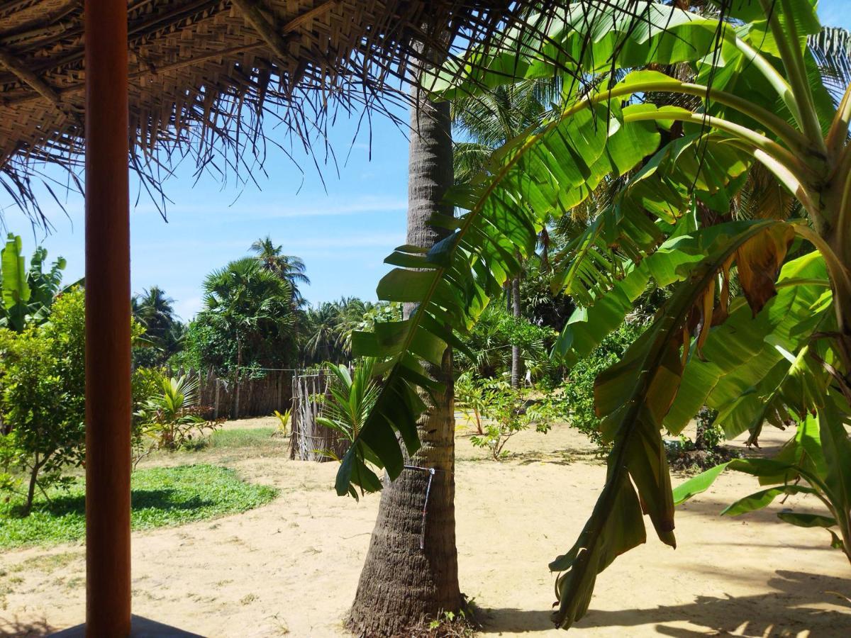 Dune Towers Kalpitiya Esterno foto