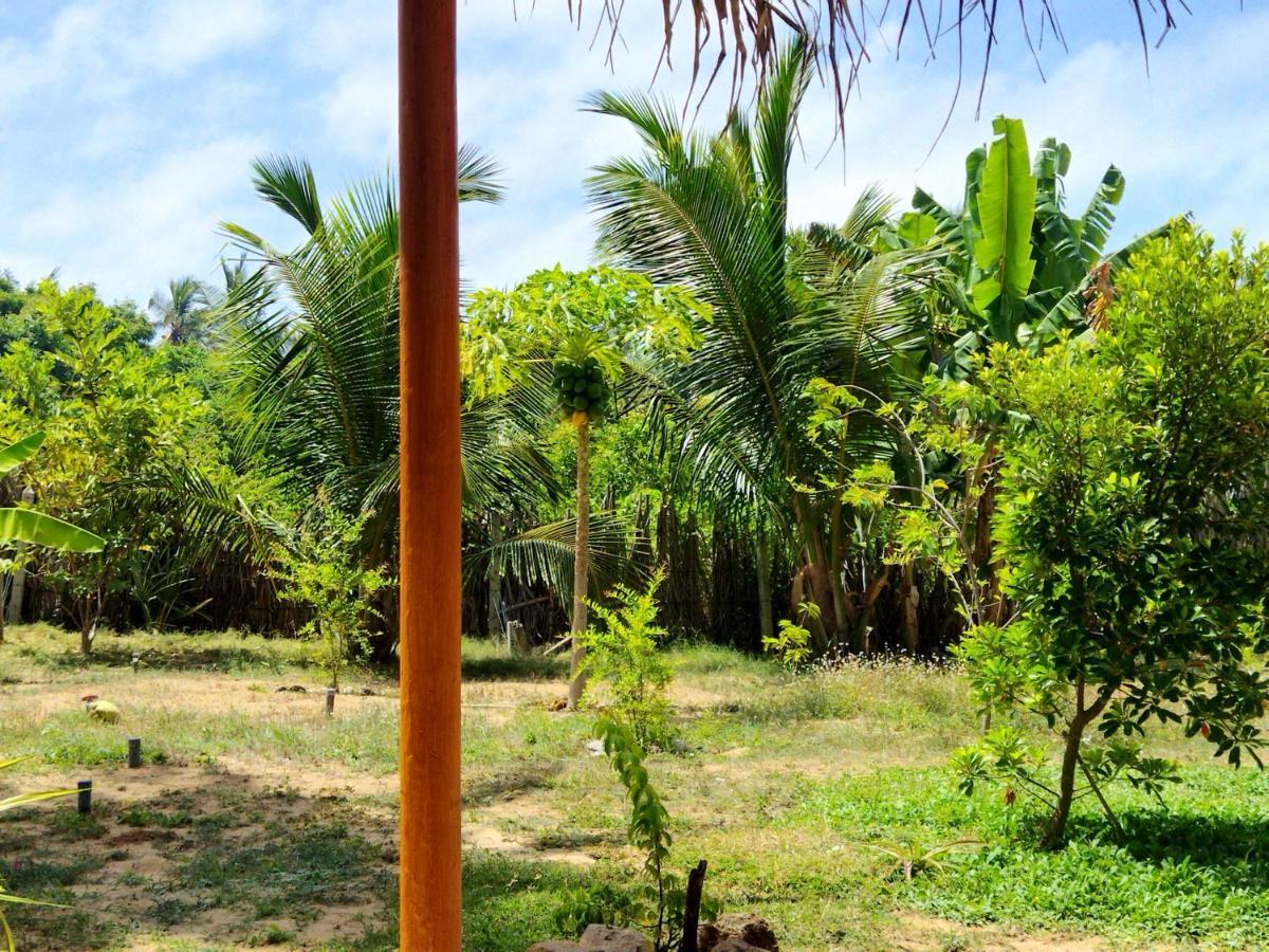 Dune Towers Kalpitiya Esterno foto